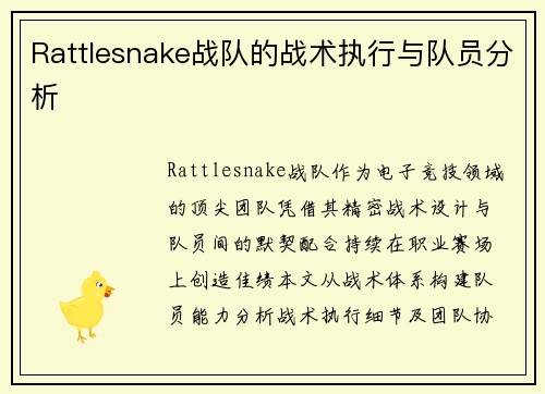 Rattlesnake战队的战术执行与队员分析
